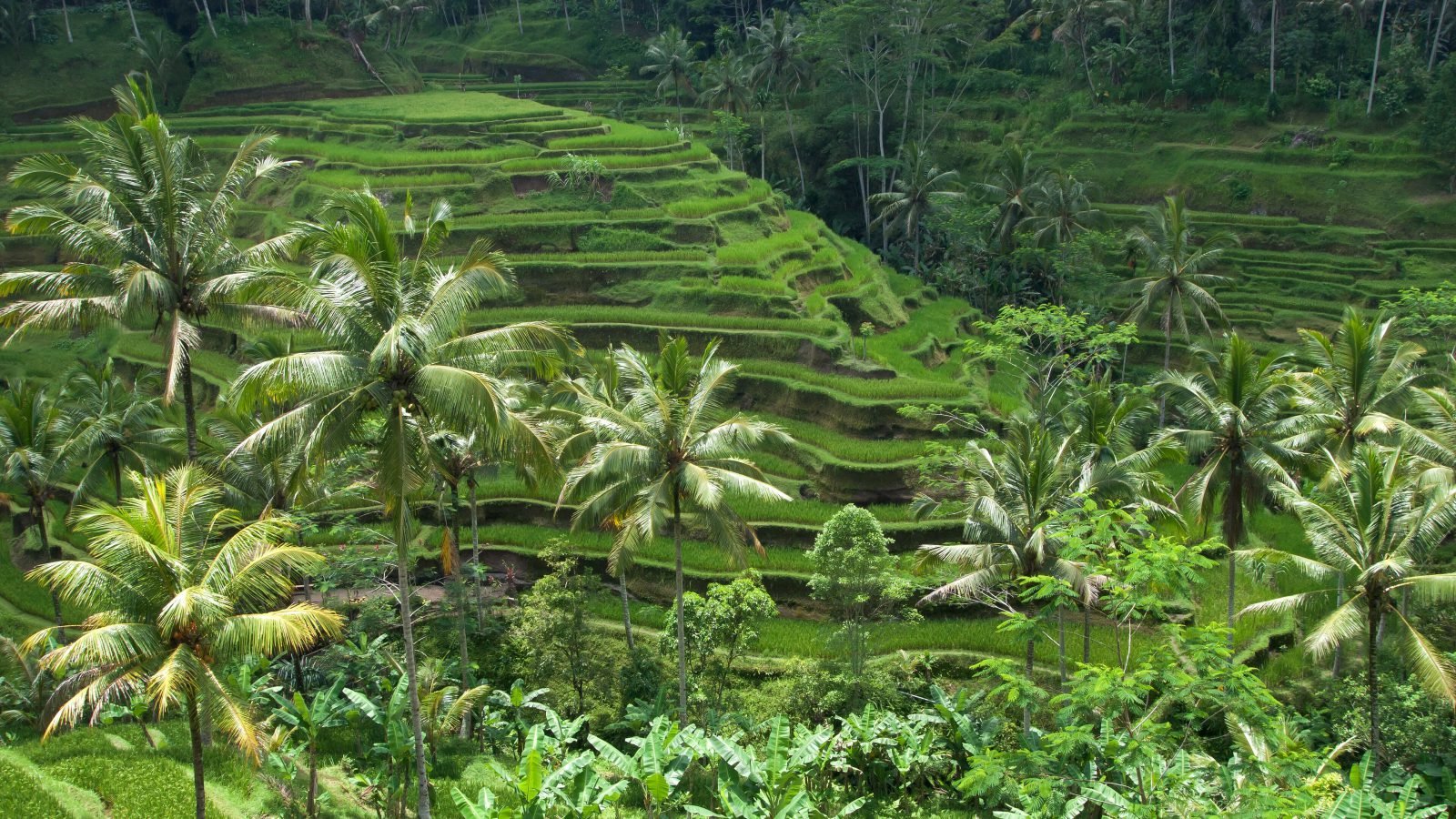 Bali, Indonesia